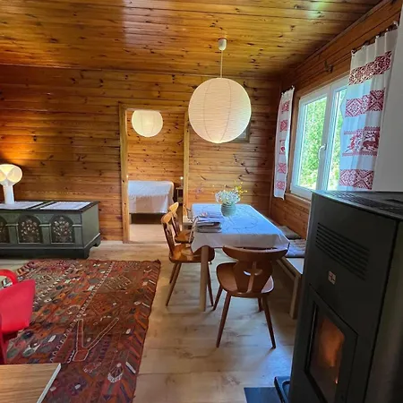 Hiasn Haus Bad Aussee